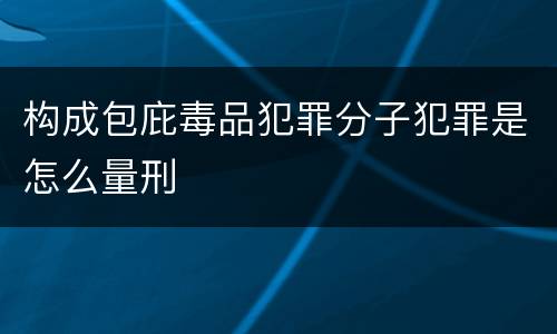 构成包庇毒品犯罪分子犯罪是怎么量刑