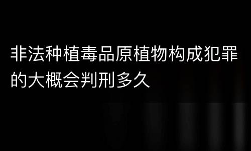 非法种植毒品原植物构成犯罪的大概会判刑多久