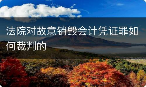 法院对故意销毁会计凭证罪如何裁判的