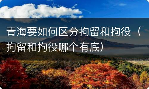 青海要如何区分拘留和拘役（拘留和拘役哪个有底）