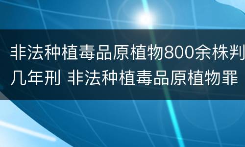 非法种植毒品原植物800余株判几年刑 非法种植毒品原植物罪情节严重