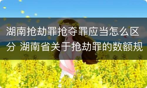 湖南抢劫罪抢夺罪应当怎么区分 湖南省关于抢劫罪的数额规定