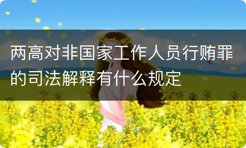 两高对非国家工作人员行贿罪的司法解释有什么规定