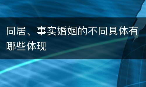 同居、事实婚姻的不同具体有哪些体现