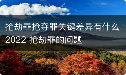 抢劫罪抢夺罪关键差异有什么2022 抢劫罪的问题