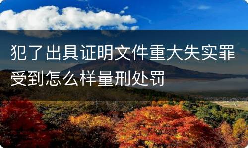犯了出具证明文件重大失实罪受到怎么样量刑处罚