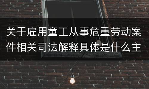 关于雇用童工从事危重劳动案件相关司法解释具体是什么主要规定