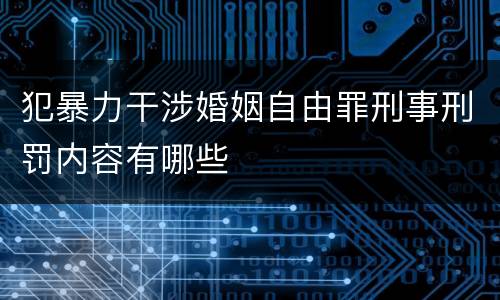 犯暴力干涉婚姻自由罪刑事刑罚内容有哪些