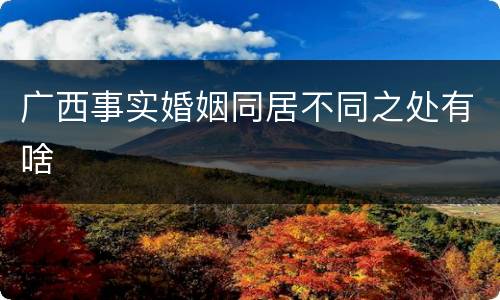 广西事实婚姻同居不同之处有啥