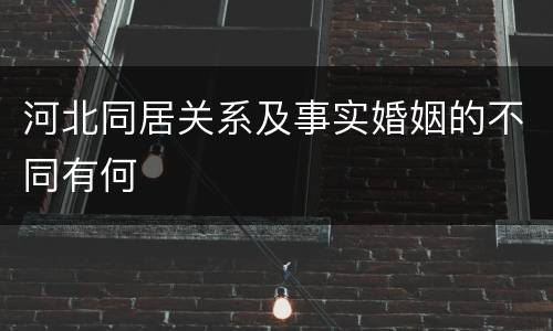 河北同居关系及事实婚姻的不同有何