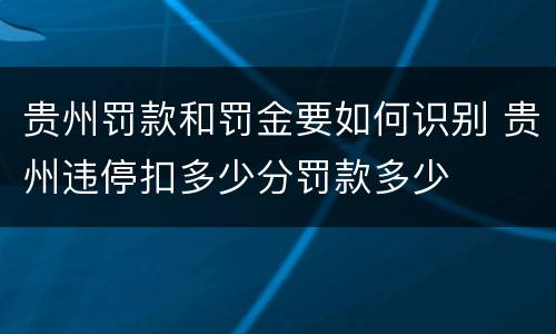 贵州罚款和罚金要如何识别 贵州违停扣多少分罚款多少