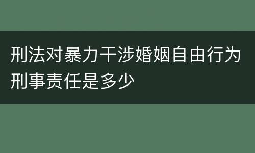 刑法对暴力干涉婚姻自由行为刑事责任是多少