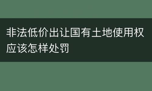 非法低价出让国有土地使用权应该怎样处罚