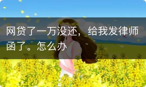 网贷了一万没还，给我发律师函了。怎么办
