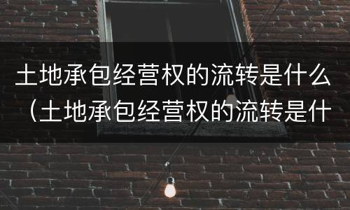 土地承包经营权的流转是什么（土地承包经营权的流转是什么性质）
