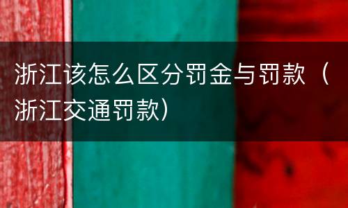 浙江该怎么区分罚金与罚款（浙江交通罚款）
