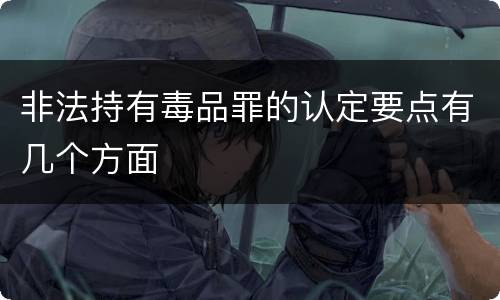 非法持有毒品罪的认定要点有几个方面