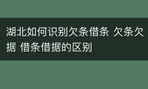 湖北如何识别欠条借条 欠条欠据 借条借据的区别