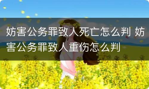 妨害公务罪致人死亡怎么判 妨害公务罪致人重伤怎么判