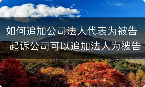 如何追加公司法人代表为被告 起诉公司可以追加法人为被告吗
