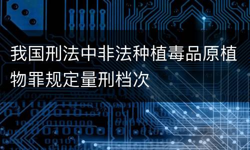 我国刑法中非法种植毒品原植物罪规定量刑档次