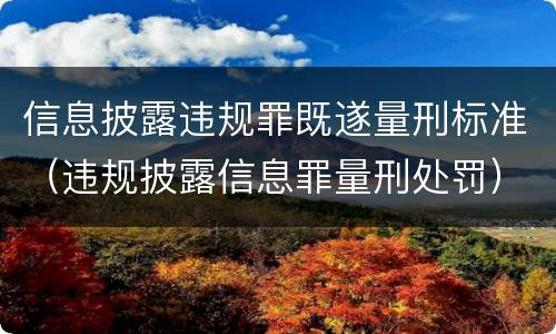 信息披露违规罪既遂量刑标准（违规披露信息罪量刑处罚）