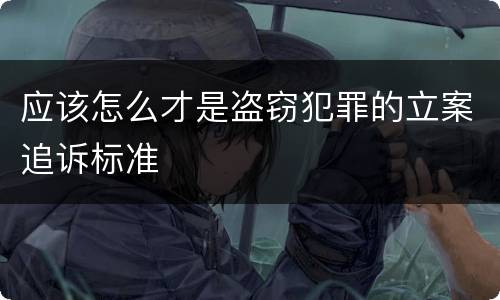 应该怎么才是盗窃犯罪的立案追诉标准