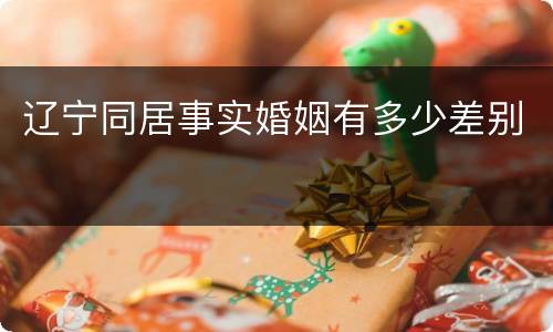 辽宁同居事实婚姻有多少差别