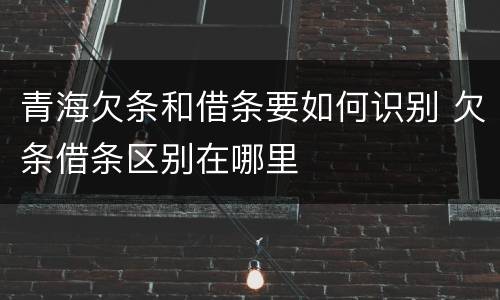 青海欠条和借条要如何识别 欠条借条区别在哪里