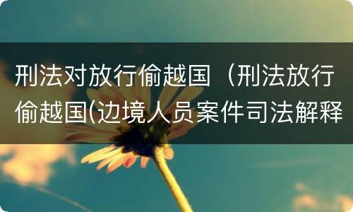 刑法对放行偷越国（刑法放行偷越国(边境人员案件司法解释会如何规定）