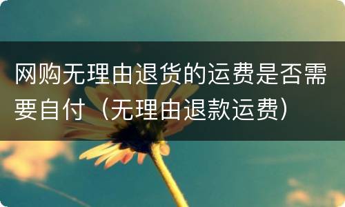 网购无理由退货的运费是否需要自付（无理由退款运费）