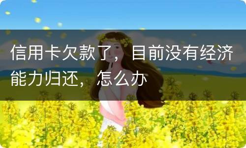 信用卡欠款了，目前没有经济能力归还，怎么办