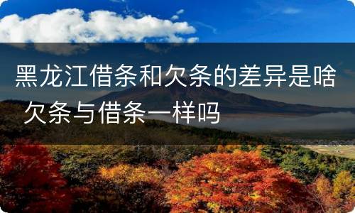 黑龙江借条和欠条的差异是啥 欠条与借条一样吗