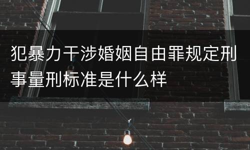 犯暴力干涉婚姻自由罪规定刑事量刑标准是什么样