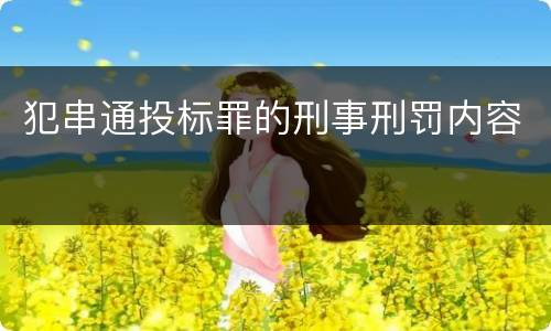 犯串通投标罪的刑事刑罚内容