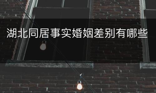 湖北同居事实婚姻差别有哪些