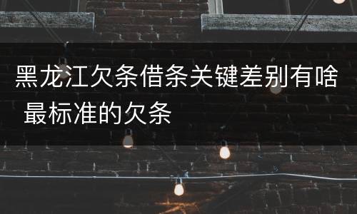 黑龙江欠条借条关键差别有啥 最标准的欠条