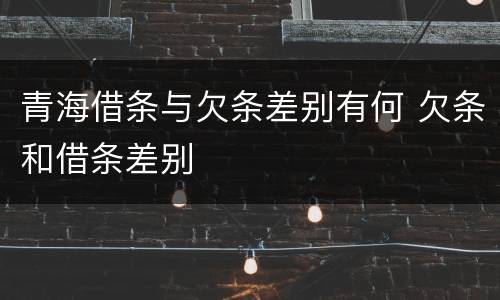 青海借条与欠条差别有何 欠条和借条差别