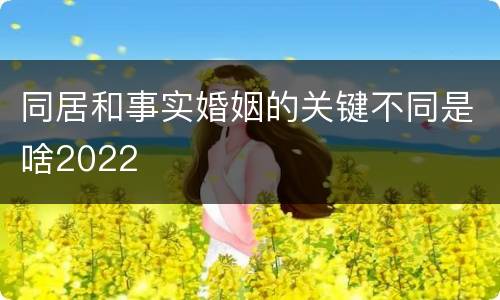 同居和事实婚姻的关键不同是啥2022