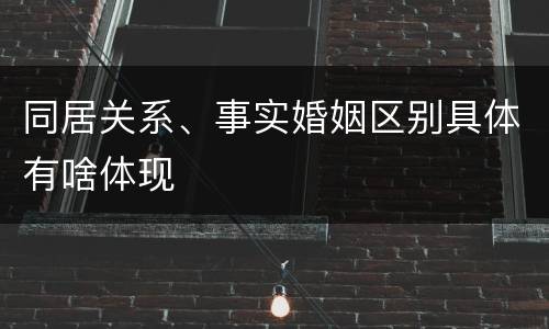 同居关系、事实婚姻区别具体有啥体现