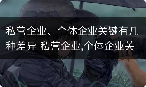 私营企业、个体企业关键有几种差异 私营企业,个体企业关键有几种差异类型