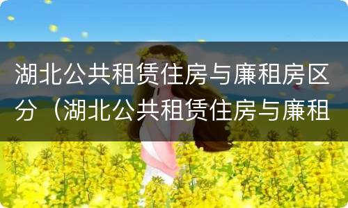 湖北公共租赁住房与廉租房区分（湖北公共租赁住房与廉租房区分标准）