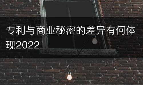 专利与商业秘密的差异有何体现2022