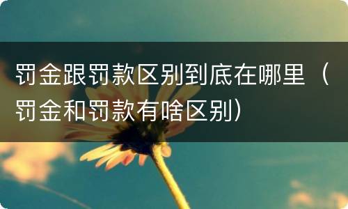 罚金跟罚款区别到底在哪里（罚金和罚款有啥区别）