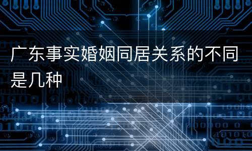 广东事实婚姻同居关系的不同是几种