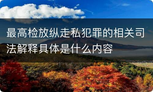 最高检放纵走私犯罪的相关司法解释具体是什么内容