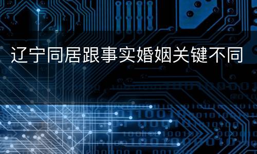 辽宁同居跟事实婚姻关键不同