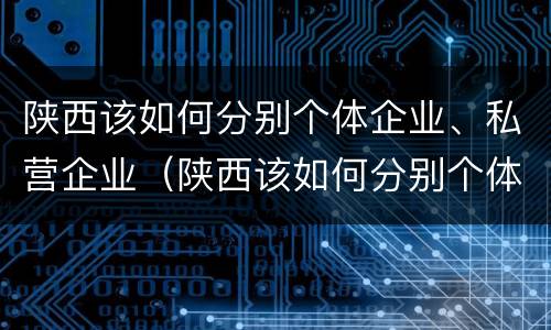 陕西该如何分别个体企业、私营企业（陕西该如何分别个体企业,私营企业和国企）