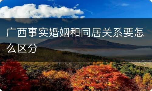 广西事实婚姻和同居关系要怎么区分