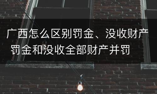 广西怎么区别罚金、没收财产 罚金和没收全部财产并罚